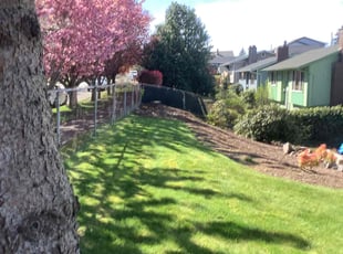 Austin Y.'s Yard Cutting service result
