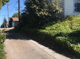 Bush Trimming by Patrick Janousek for Kjirstin B. in Tacoma, WA