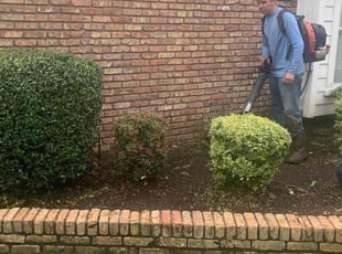 Bush Trimming by Miguel Arroyo for Maria j. in Houston, TX