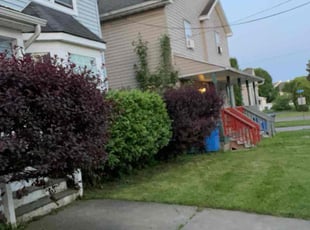 Weeding by Danaysha Johnson for Kerri G. in Panorama, NY