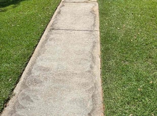 Ashraf S.'s Lawn Care service result