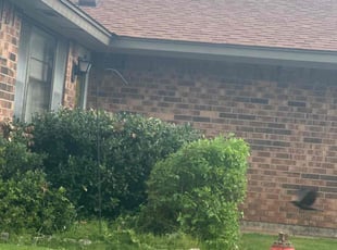 Bush Trimming by Leray Thornton for Patricia T. in Oklahoma City, OK