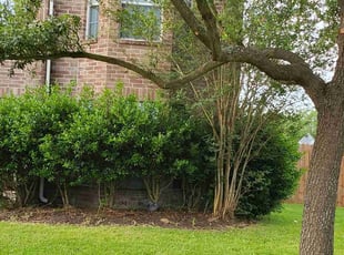 Landscaping by Briana Rivera for Jeremy C. in Houston, TX