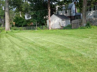 Jessica T.'s Lawn Service service result