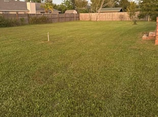Benjamin W.'s Lawn Maintenance service result