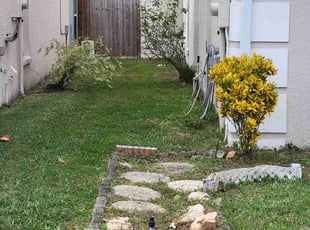 Bush Trimming by Permon Riggins for Rich L. in Lake Mary, FL