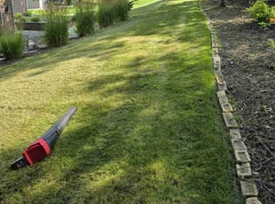 Jeremy G.'s Lawn Service service result