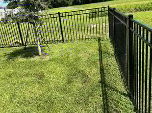 Dave M.'s Lawn Service service result