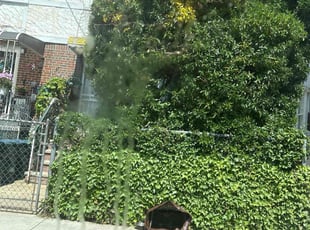 Bush Trimming by Nicholas Harvey for Tracy B. in Queens, NY