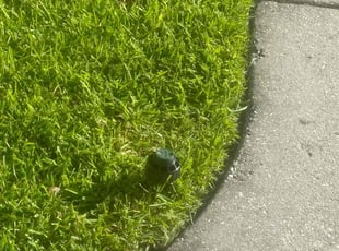 Michael H.'s Lawn Service service result
