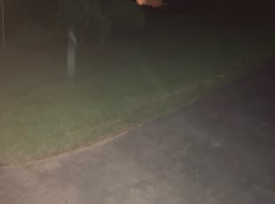 Bush Trimming by Mel Glo for Cory W. in Canton, GA