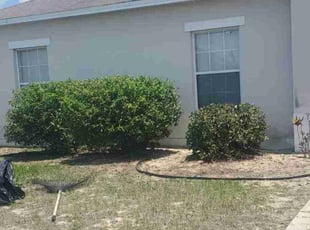 Bush Trimming by Yohan Torres for MICHAEL y. in Kissimmee, FL