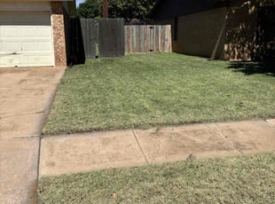 Cynthia P.'s Lawn Maintenance service result