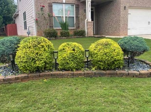 Bush Trimming by Joshua Bowles for Christine F. in McDonough, GA