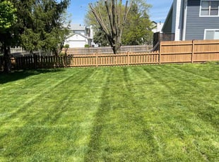 Matthew M.'s Lawn Mowing service result