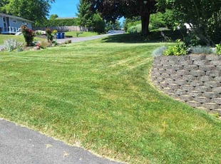Carol W.'s Lawn Care service result