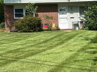 Laura G.'s Lawn Mowing Service service result