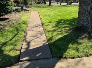 Lindsey G.'s Lawn Mowing Service service result