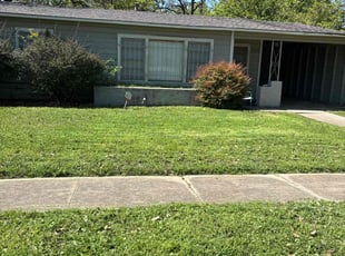 Ruth A.'s Lawn Care service result