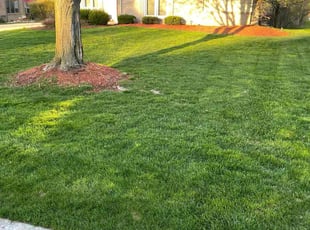 Leonard M.'s Lawn Maintenance service result