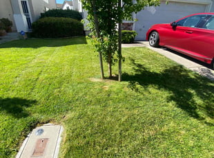 Raymond T.'s Grass Cutting service result
