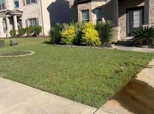 Shannon B.'s Lawn Mowing service result
