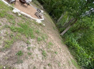 Leaf Removal by Kevin Palacios for Michelle M. in Leander, TX