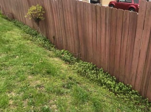 Cleanups by Allison Conley for Nicholas Z. in Wilkes-Barre, PA
