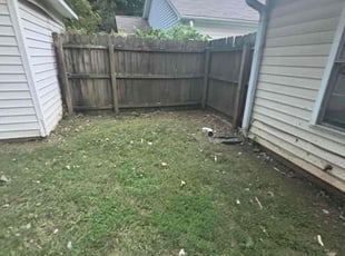 Cleanups by Quincy D. for Hannah C. in Charlotte, NC
