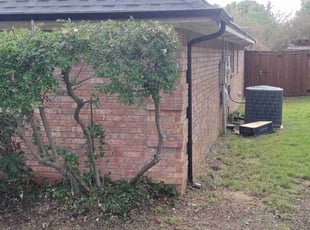 Bush Trimming by Sergio Beltran for Aaron M. in Grapevine, TX