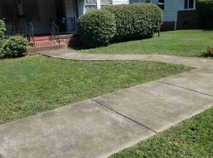 Ron B.'s Lawn Care service result