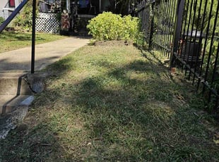 Stacey G.'s Lawn Mowing Service service result