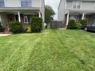 Richard K.'s Lawn Mowing service result
