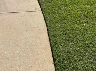 James W.'s Yard Cutting service result