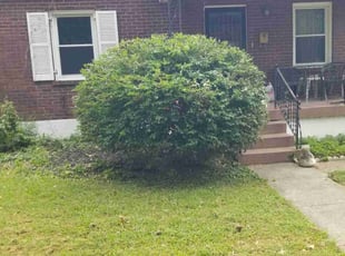 Bush Trimming by Jaden Benn for Peggy M. in Louisville, KY