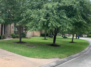 Bonnie L.'s Lawn Care service result