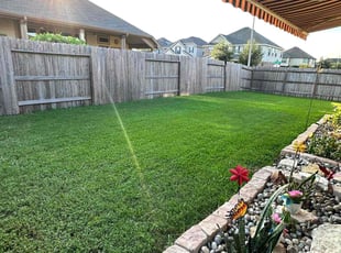 Kenneth L.'s Lawn Mowing service result