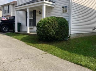Bush Trimming by Joel Laumas for Bradlee W. in Lexington, KY