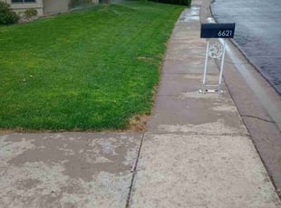 Anne H.'s Lawn Care service result