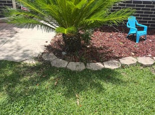 Bush Trimming by Jessica Springer for William G. in Wesley Chapel, FL