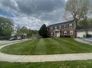 Sandra J.'s Yard Cutting service result