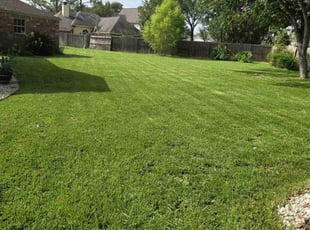 Carolyn S.'s Lawn Care service result