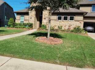 Bush Trimming by Robert Romero for Ye W. in Sugar Land, TX