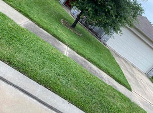Monica F.'s Lawn Mowing Service service result