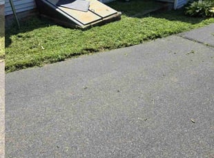 David M.'s Yard Cutting service result