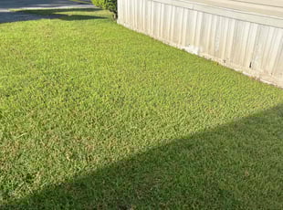 Daveina G.'s Lawn Service service result