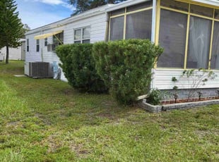 Bush Trimming by Louis Reele for Sandra C. in Tampa, FL