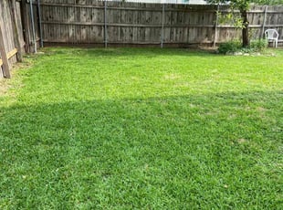 Keena M.'s Lawn Maintenance service result