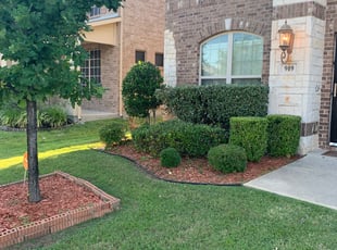 Bush Trimming by PERNELL RUDISON for Daija J. in Little Elm, TX