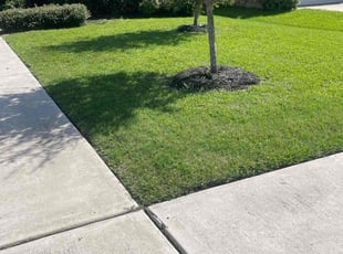 Matthew B.'s Lawn Mowing service result